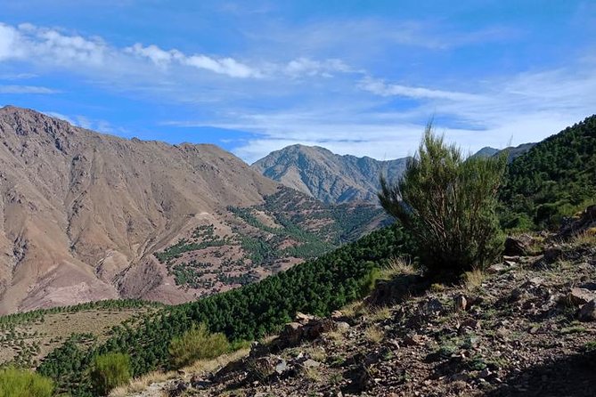 Three Vallyes in Three Days - Day 3: Toubkal National Park Adventure