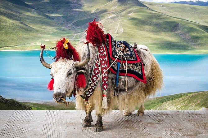 Tibet Lhasa Tour With Everest Base Camp - 8 Days - Pickup Details