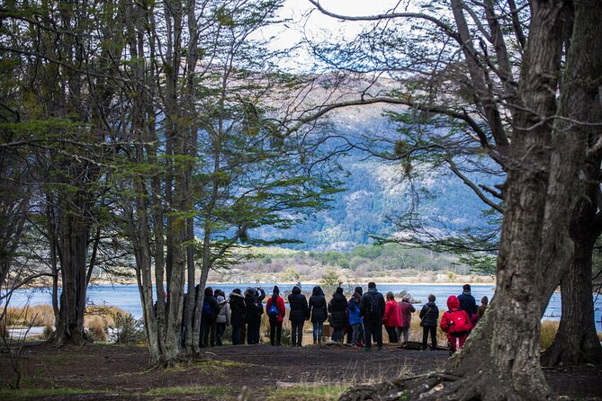 Tierra Del Fuego National Park for Cruise Travelers With Fee - Reviews and Customer Feedback
