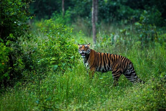 Tiger, Temple & Ancient Caves - Frequently Asked Questions