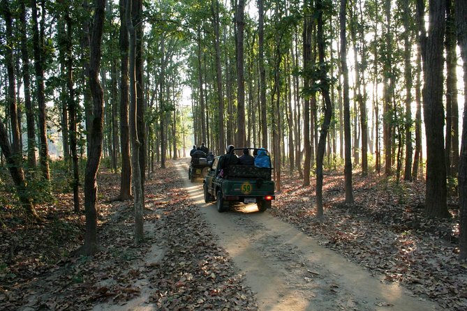 Tiger & Temple - Guided Tours and Safaris