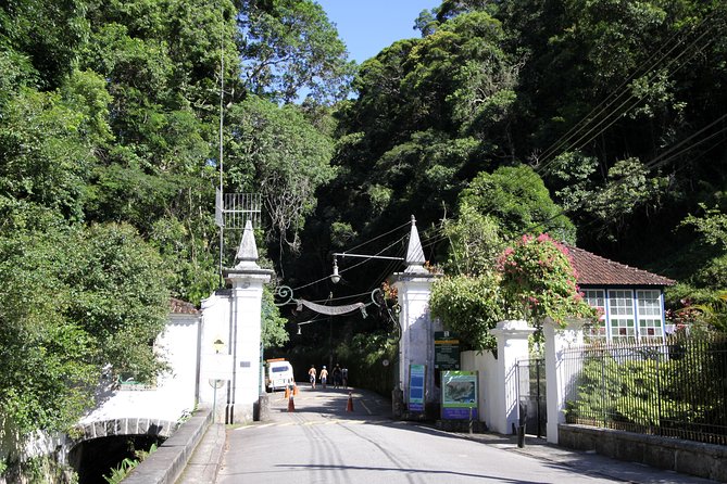 Tijuca Forest - Private Tour - Why Choose a Private Tour