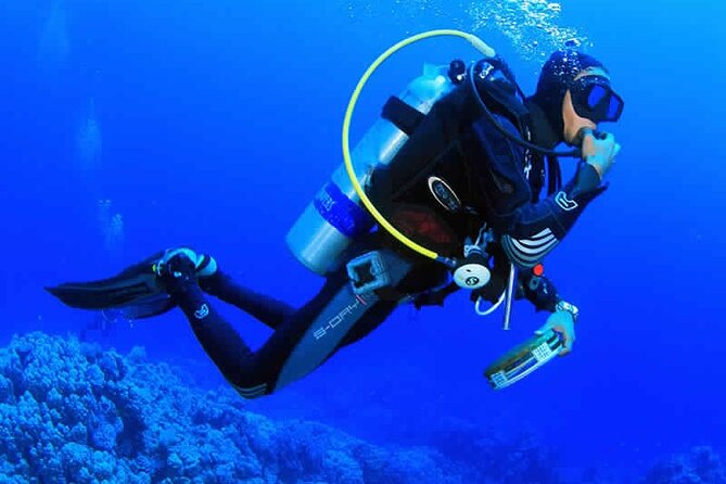 Tiran Island Diving Day Trip by Boat From Sharm El-Sheikh - Frequently Asked Questions