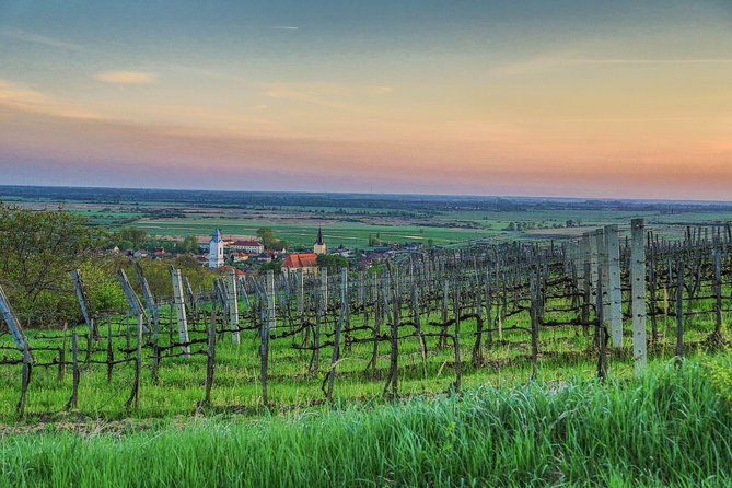 Tokaj Full Day Private Wine Tour From Budapest - Booking Details