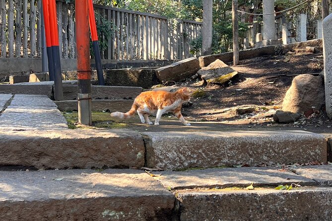 Tokyo Old Town Small Group Walking Tour - Cancellation Policy