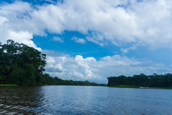 Tortuguero: Canoe Tour + Day Hike + Night Tour or Spawning - Included Activities