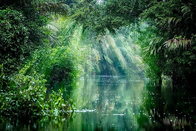 Tortuguero National Park - Admission Ticket - Accessibility Features