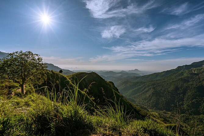 Tour Ella With a Local, Learn About Life in Sri Lanka! - Operating Hours and Accessibility