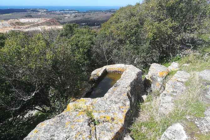 Tour of the Pre-Roman Istria - Operator Details