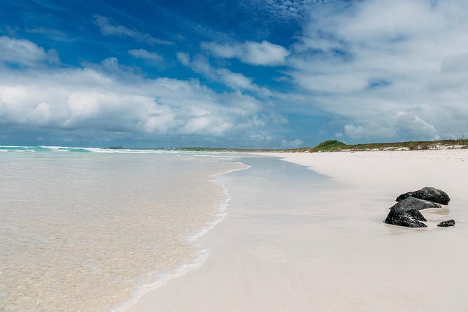 Tour Quito + Galapagos + Guayaquil / 7 Day Tour - Travel Tips