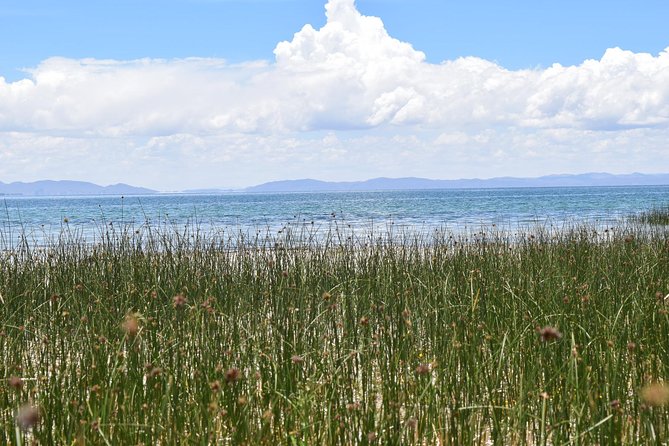 Tour to Anapia Island From Puno 2 Days 1 Night - Tour Price