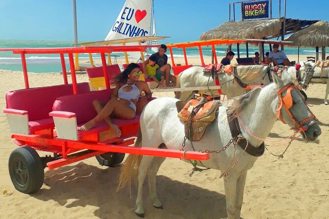 Tour To Galinhos Beach - Pricing and Payment Options