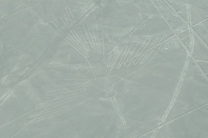 Tour to Nazca Lines With Private Aircraft - Operator Details
