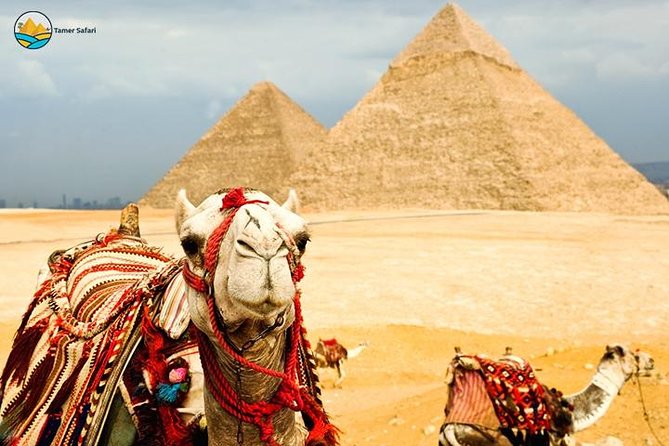 Tour to Pyramids & The Egyptian Museum - Important Considerations