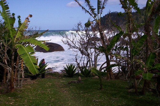 Tour to the Ponta Negra Traditional Community – BY PARATY TOURS