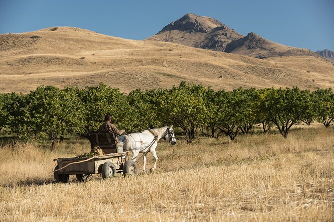 Tour to Vayots Dzor Noravank Khor Virap Areni Wine Learn a Craft Armenia Hiking - Availability and Operating Hours