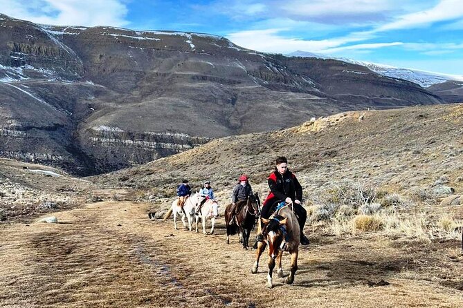 Tour With Patagonian Horseback Riding and Estancia Huyliche - The Sum Up