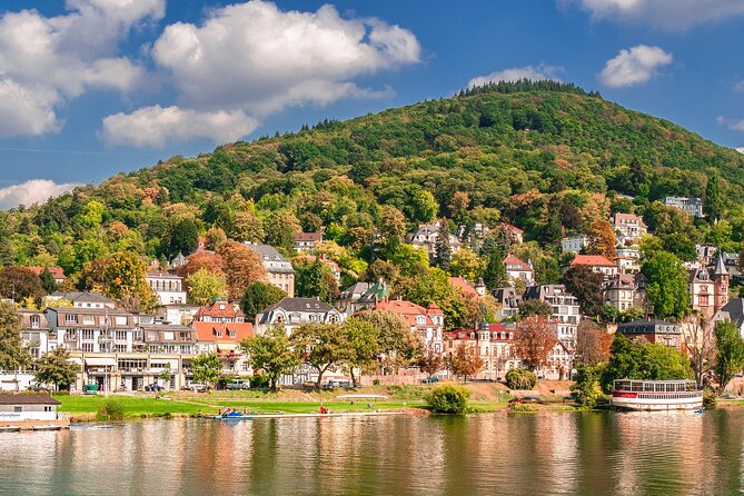 Touristic Highlights of Heidelberg on a Private Half Day Tour With a Local - Pricing, Booking, and Flexibility