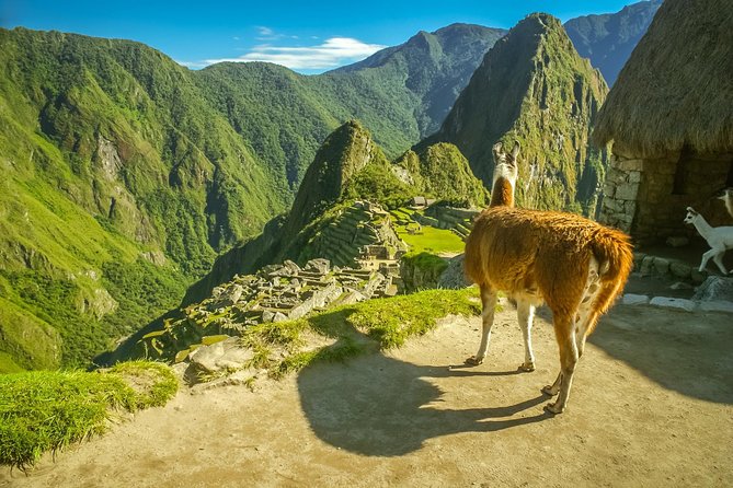 Tours Sacred Valley of the Incas - What to Expect on Your Tour