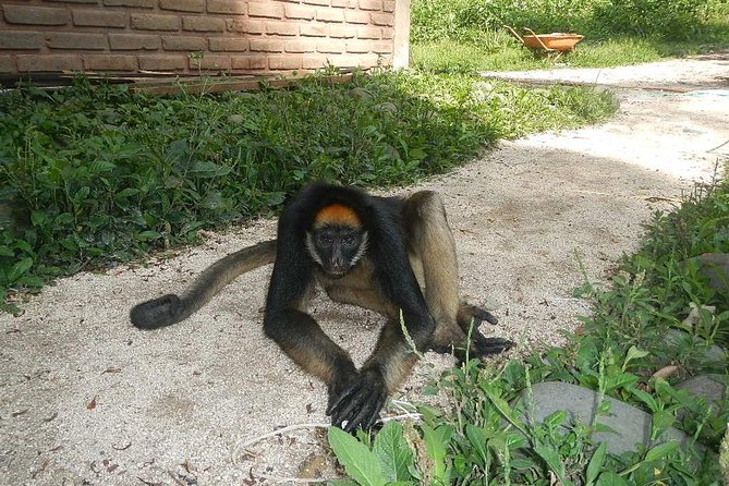 Tours to the Amazon - Indicchuris Jungle | Amazon Rainforest Tours - Meals and Meeting Point