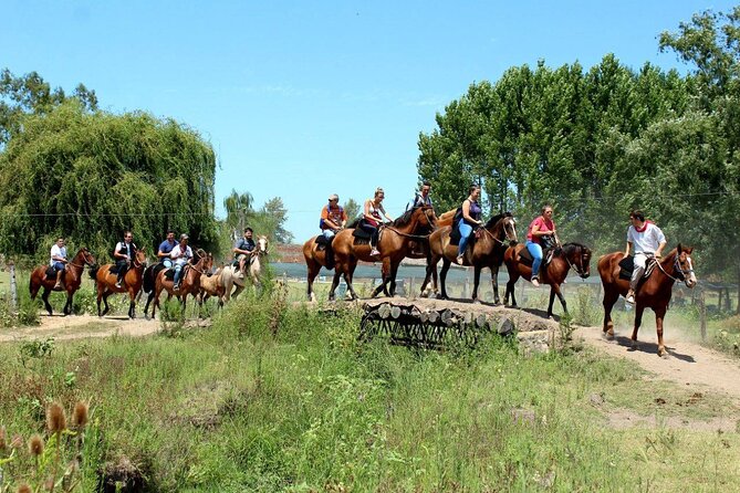Traditional Gaucho Festival Full Day Tour From Buenos Aires - Booking and Pricing Information