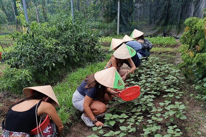 Traditional Vietnamese Cuisine Cooking Experience in Saigon - Group Size and Exclusivity