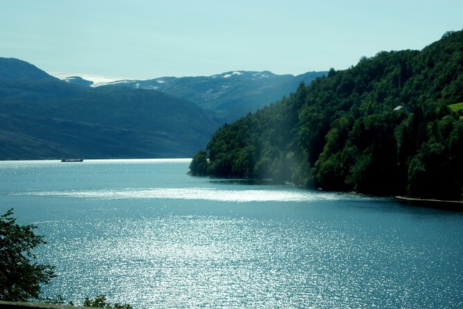 Train and Bus Tour From Oslo to Bergen via Hardangervidda/Fjord - Inclusions