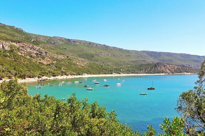 Transfer Algarve (All Cities) With Visit to Cristo Rei and Arrabida Natural Park - Pickup Points and Start Time