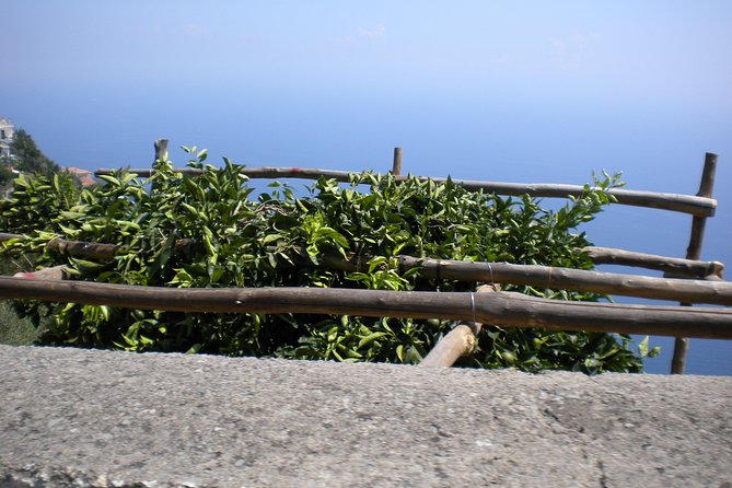 Transfer From Rome to Positano - Additional Information