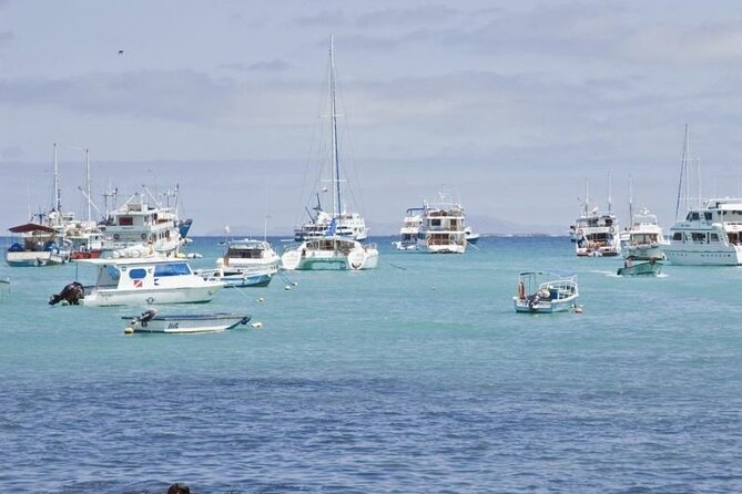 Transfer From San Cristobal Island to Santa Cruz Island - The Sum Up and Final Notes