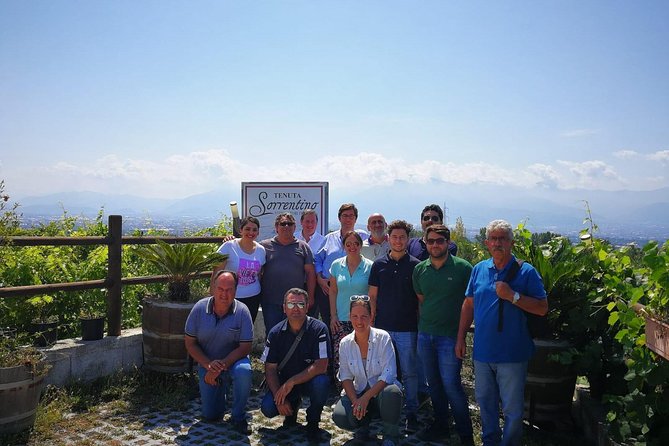 Transfer From Sorrento to Naples With Wine Tasting (1-8 Pax) - Accessibility Features