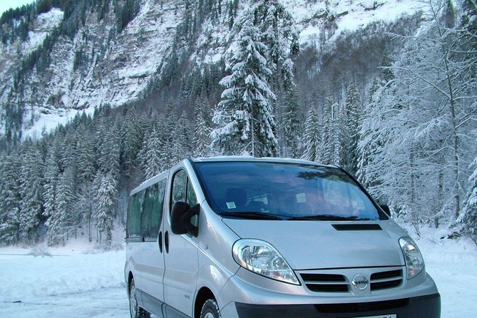Transfer: From Tbilisi Airport to Gudauri Winter Resort - VIP Perks