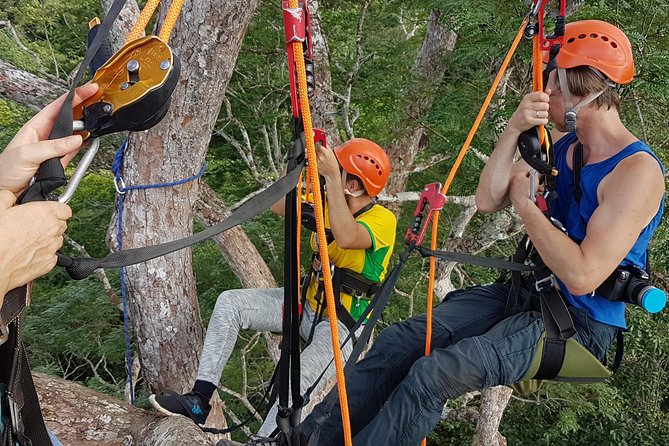 Tree Climbing in the Amazon - Reviews and Ratings
