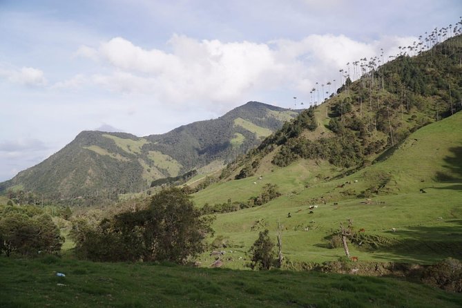 Trekking Finca La Argentina 2 Days (3450 Masl) - Important Considerations