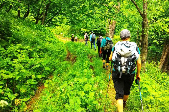 Trekking Tour in Armenia / 9 Days - Day 3: Garni Temple