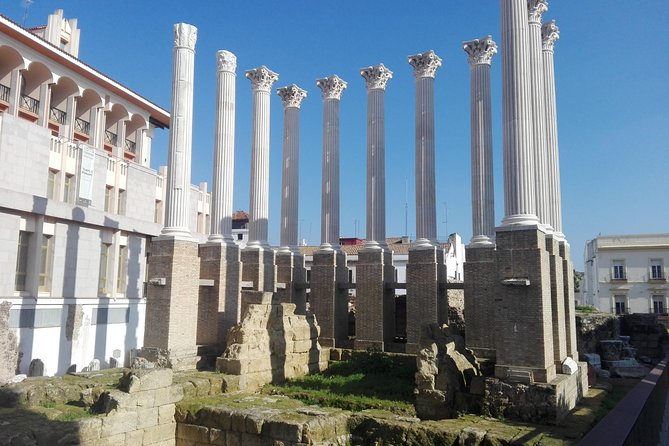 Trip From Malaga to Cordoba With Entrance to the Mosque - Additional Details to Note