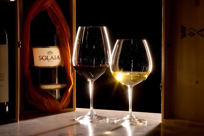 Truffle Hunt & Wine Tasting - Private Tour - Tour Directions