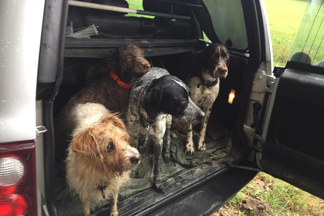 Truffle Hunt, With Italian National Truffle Hunting Association - Directions