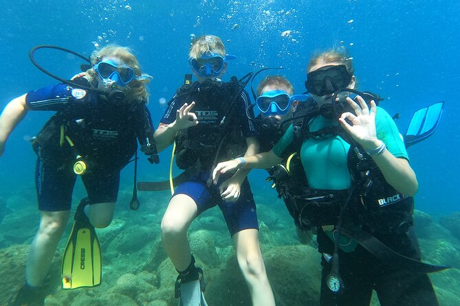 Try Scuba Diving Puerto Colon - Price and Guarantee