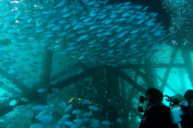 TRY SCUBA (Non Diver) - Customer Reviews and Ratings