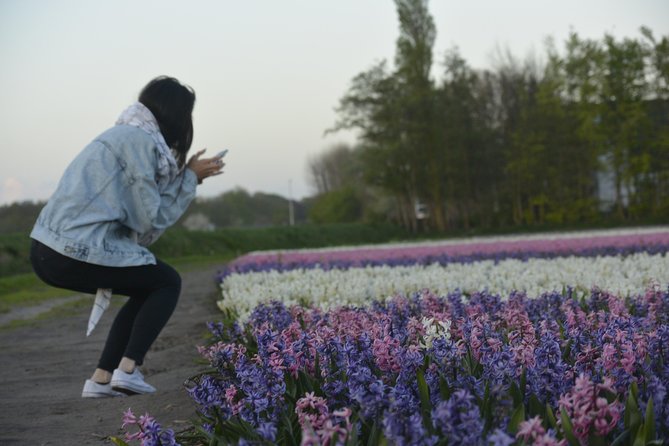 Tulipsfields Sightseeing - The Sum Up