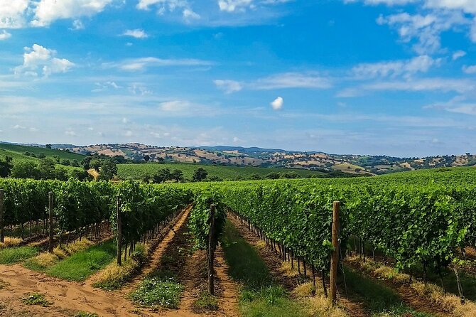 Tuscany Wine Tour - Cancellation Policy