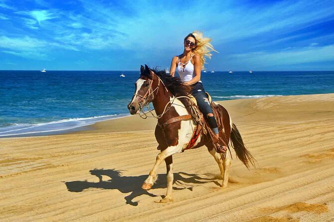 Two Hours Horse Riding With Transfer From Hurghada All Fees Paid - Traveler Requirements
