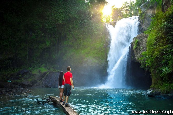 Ubud - Best Central One Day Tour - Price and Reservation