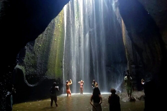 Ubud Charter Tour Waterfall Nature and Rice Fields - Additional Info
