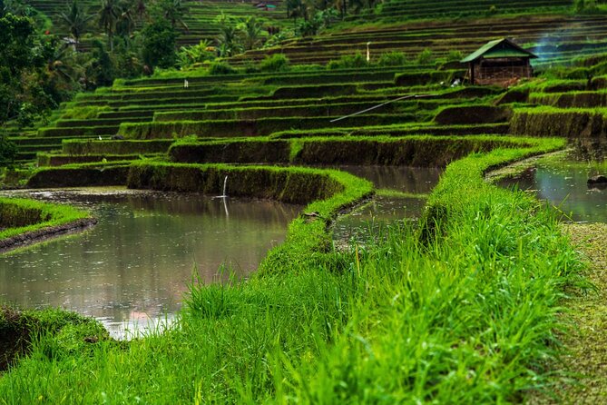 Ubud Highlights Private Day Tour - Booking Information