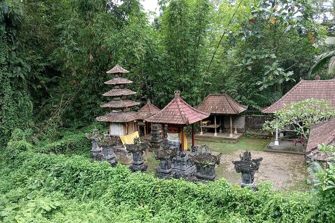 Ubud Tamansari Natural Pool Bali Swing Private Guided Tour - Reviews