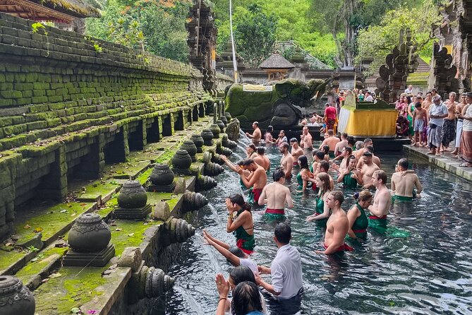 Ubud Tour - Best of Ubud - All Inclusive - Booking Options