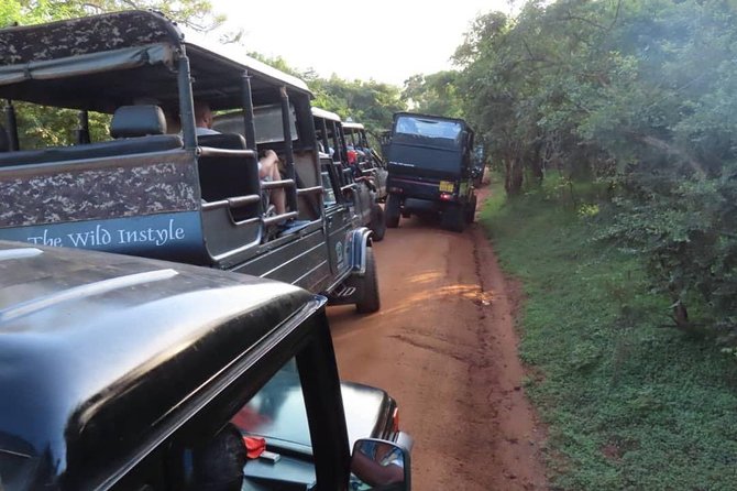 Udawalawe National Park Safari Trip From Galle/Mirissa/Ella - Accessibility and Group Details