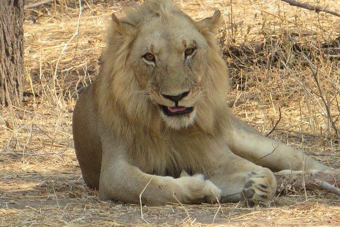 Udzungwa Mountains National Park and Mikumi National Park (5 Days) - Accommodations and Meals